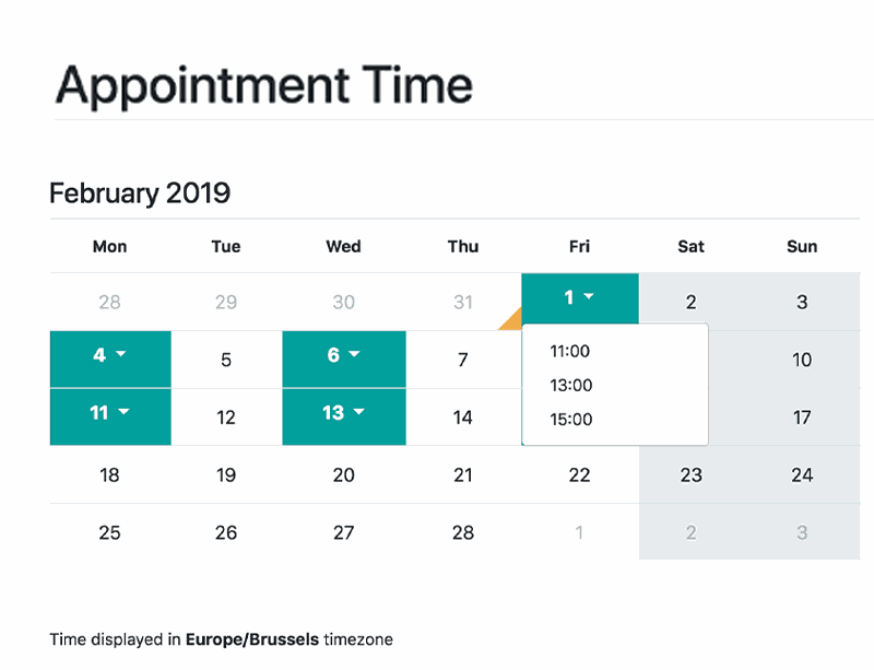 Closeup of a calendar interface to schedule the time of the appointment
