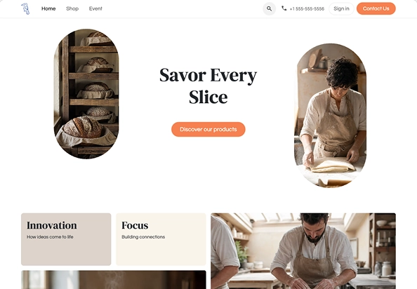 Website theme option