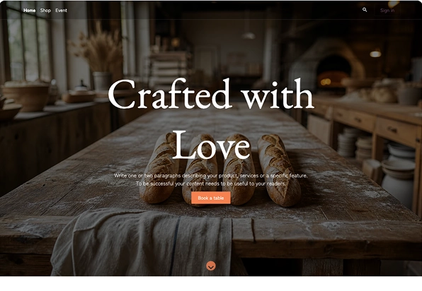 Website theme option