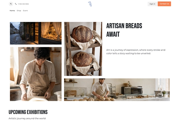 Website theme option