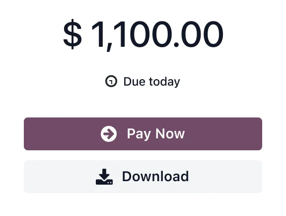 Invoice payment card with a Pay Now button