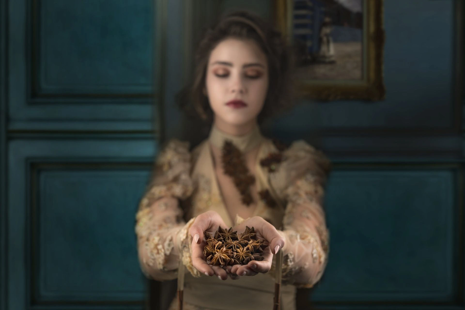 STOP Spices' star anises