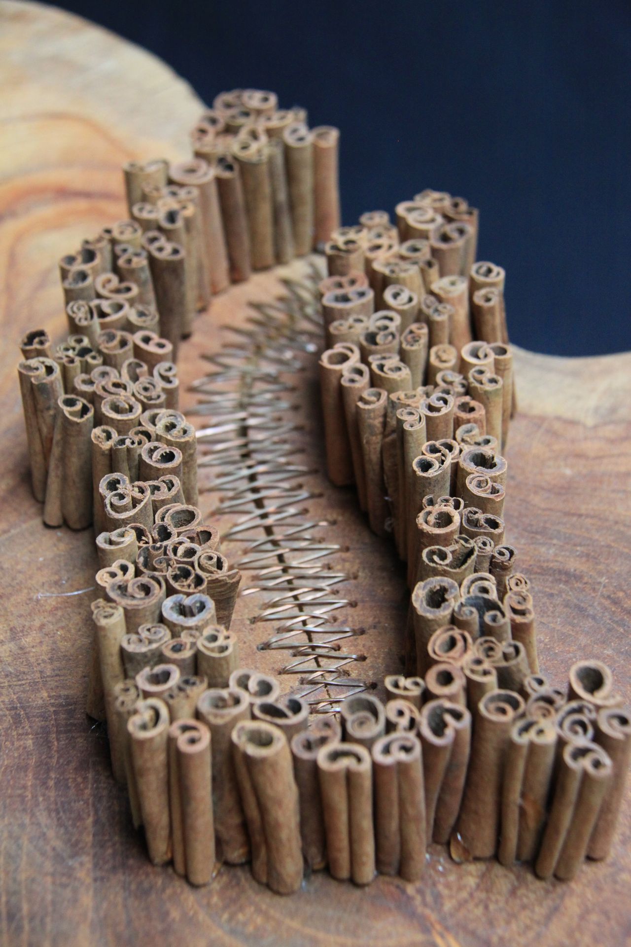 STOP Spices' cinnamon sticks