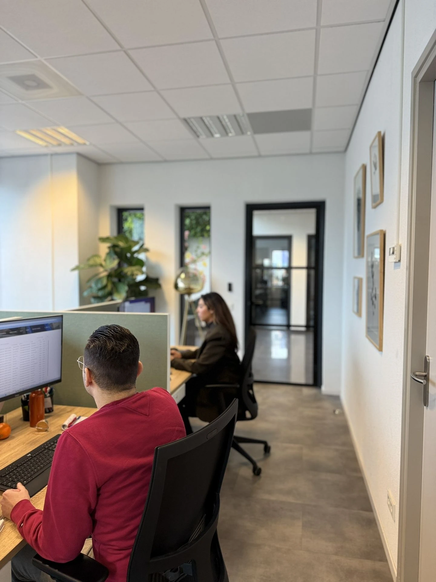 Tonzon's employee using Odoo