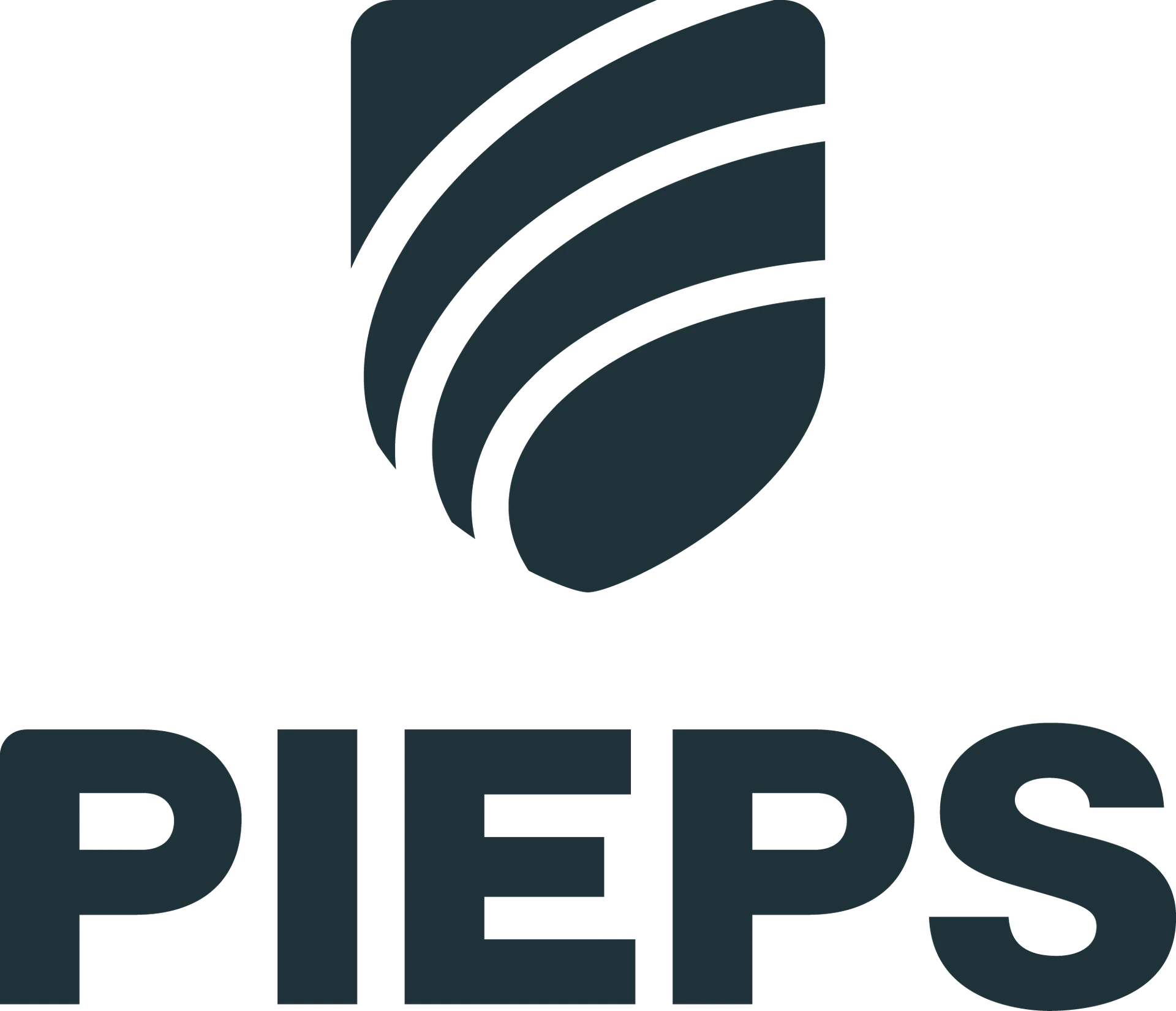 Logo of avalanche safety manufacturer PIEPS