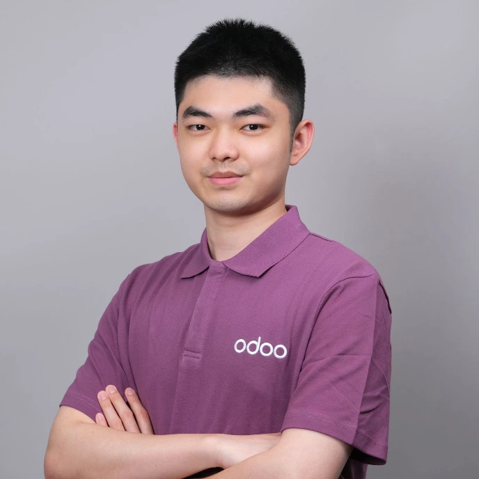 Odoo 实施顾问