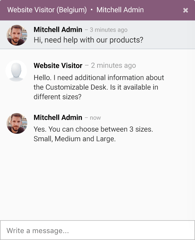 Una conversación de chat entre un visitante del sitio web y un vendedor