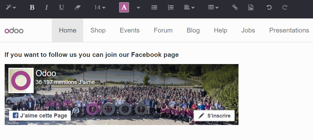 Odoo CMS - a big picture