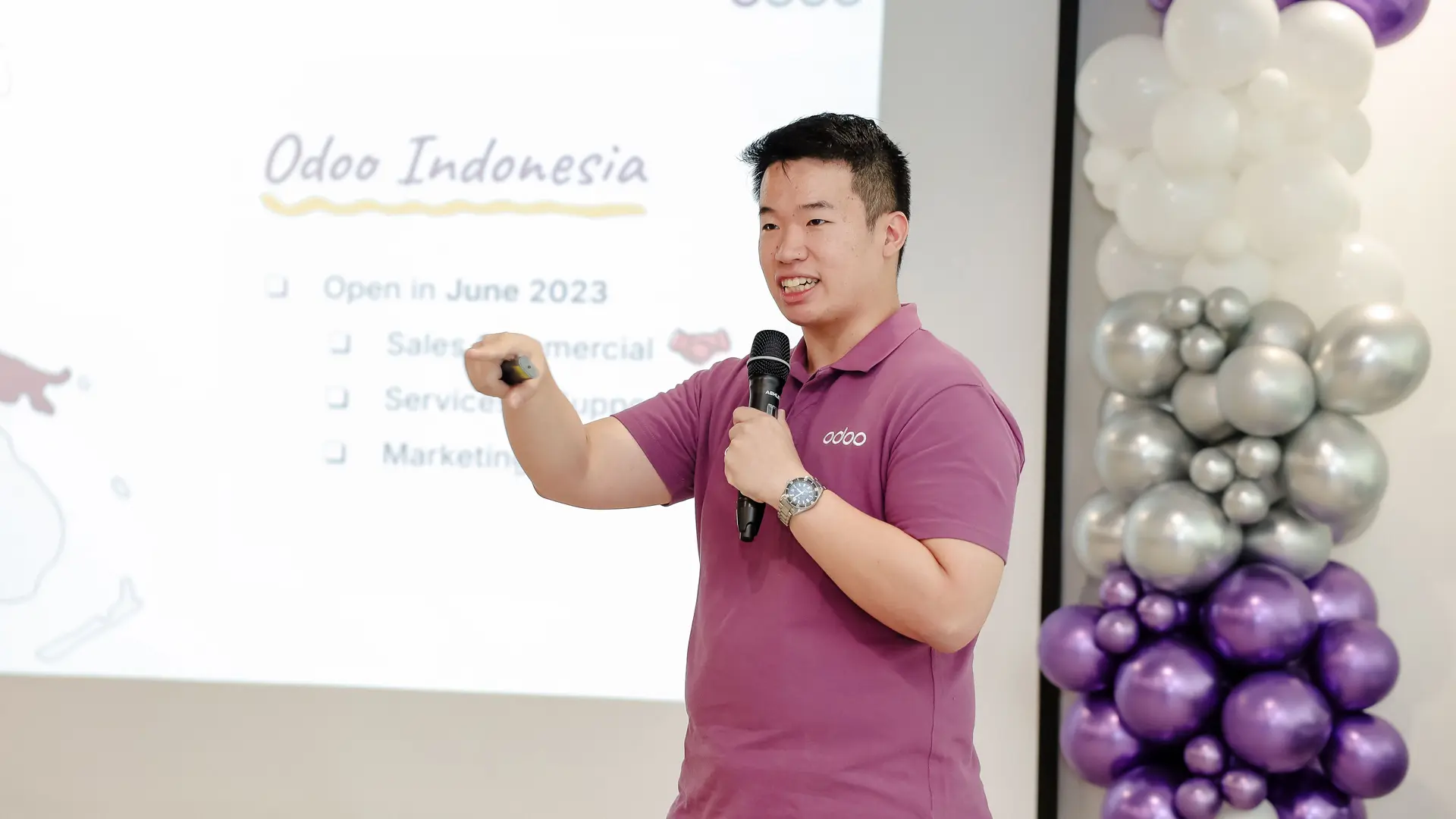 Demo by Odoo Director