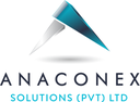 AnaConEx Solutions