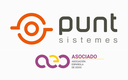 PUNT SISTEMES SLU