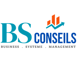 BS Conseils