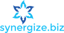 Synergy Business Solutions CC