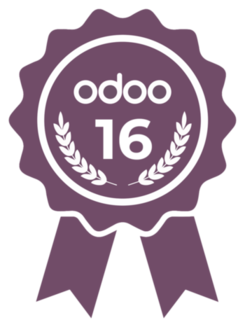 Odoo Certification v16