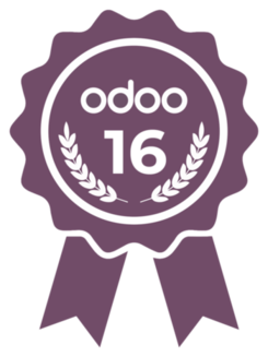 Certificación funcional de Odoo v16 (Español)