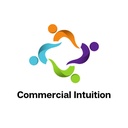 Commercial Intuition Limited
