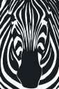 Zebra Products Ltd