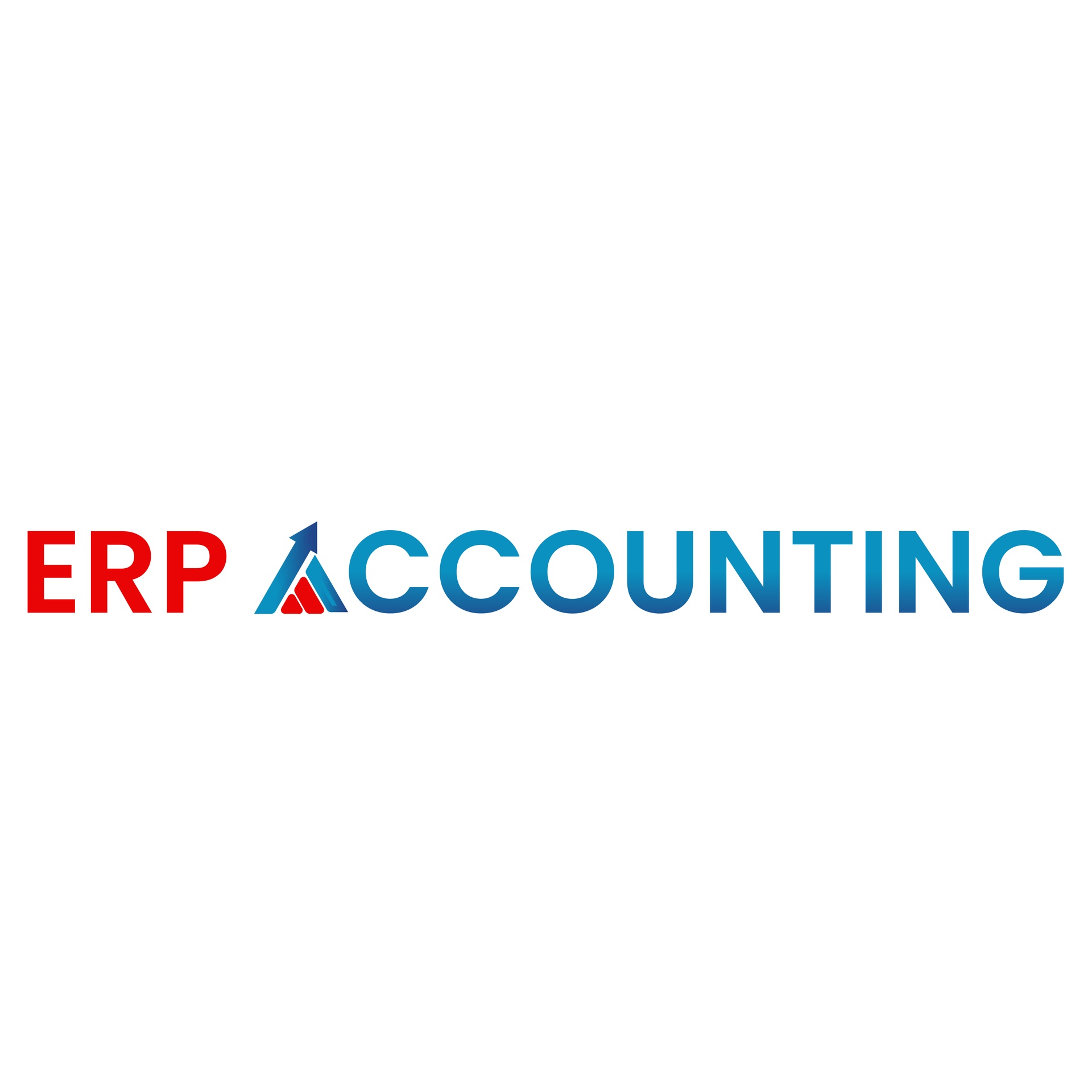 ERP Accounting LLC