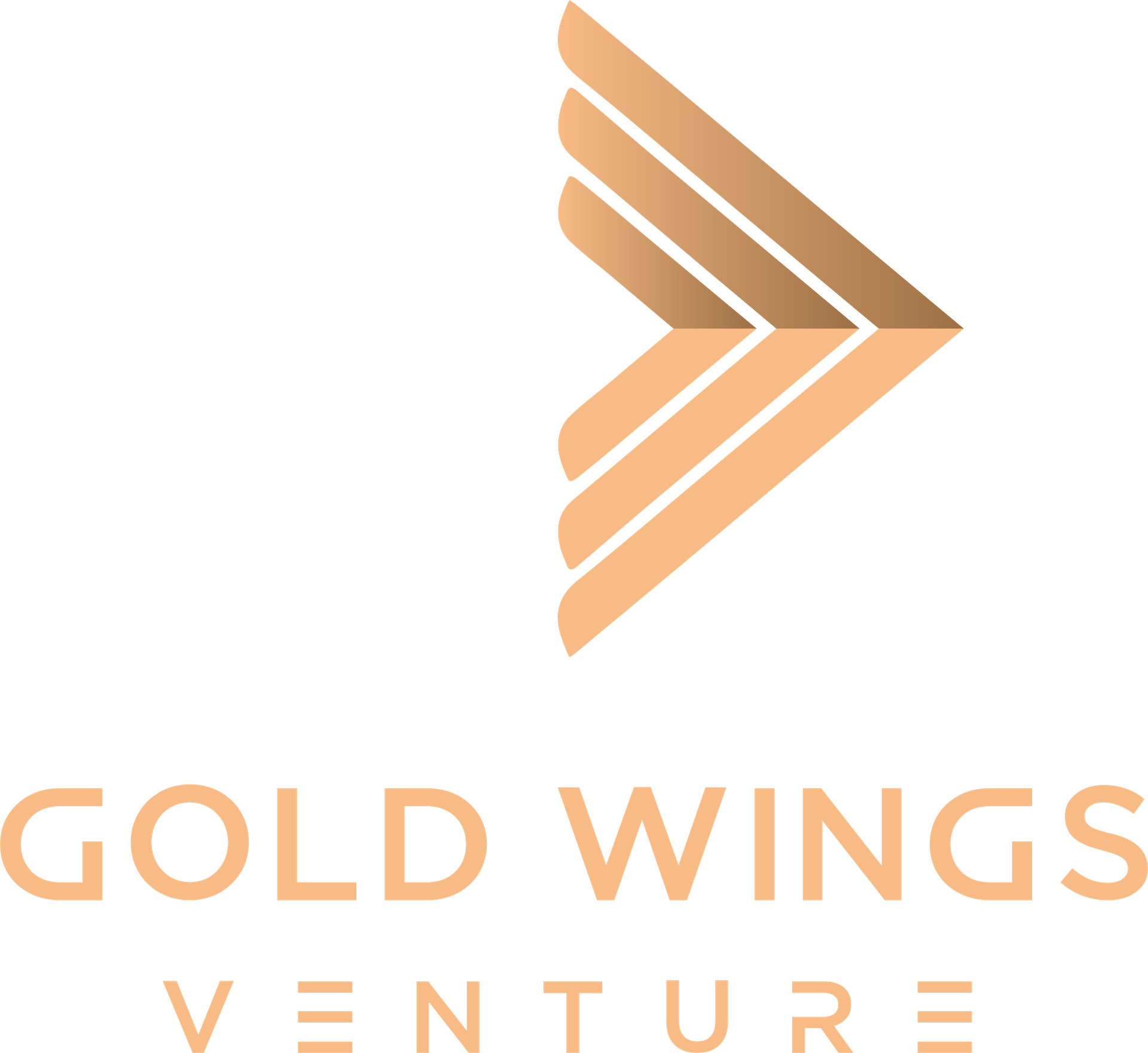 GOLD WINGS VENTURE CO.,LTD