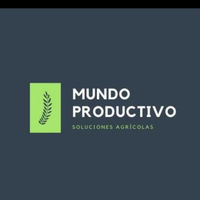 Un mundo productivo CA