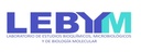 Laboratorio LEBYM