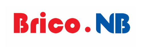 BRICO NB LTD
