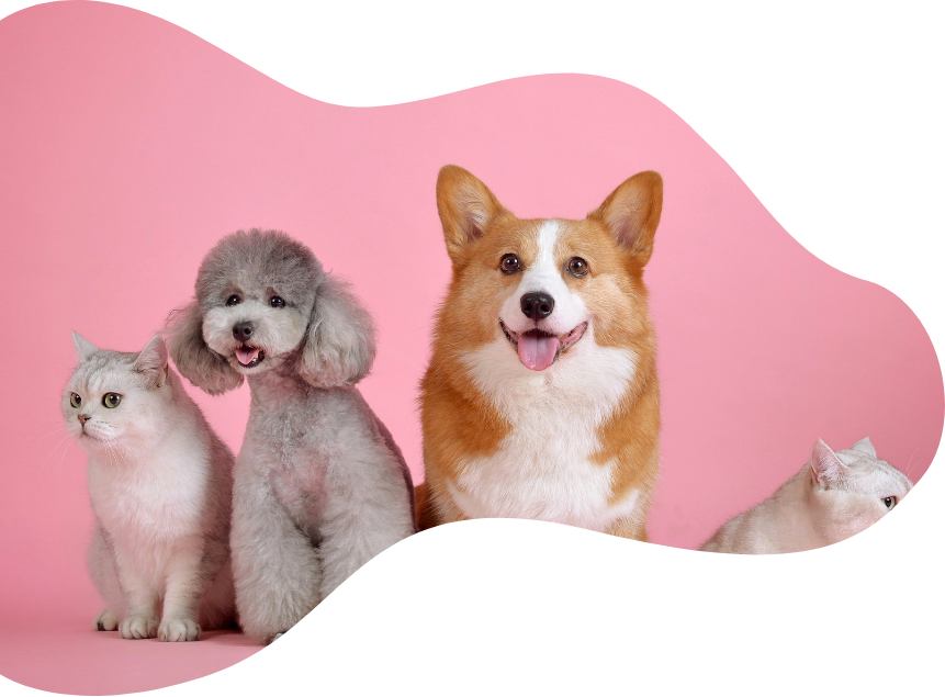 Veterinary Animal Range Clinic