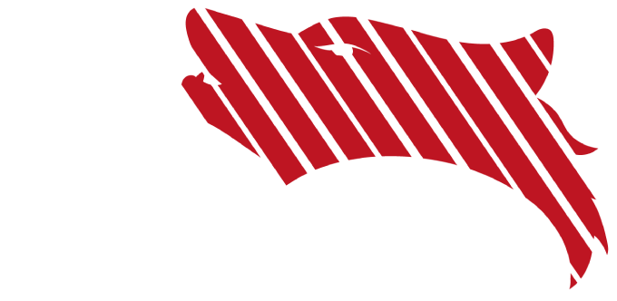 IST Americas