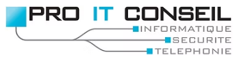 Pro IT Conseil