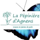 Pépinière d'Agnens