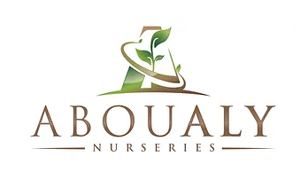 Abou Aly Nurseries