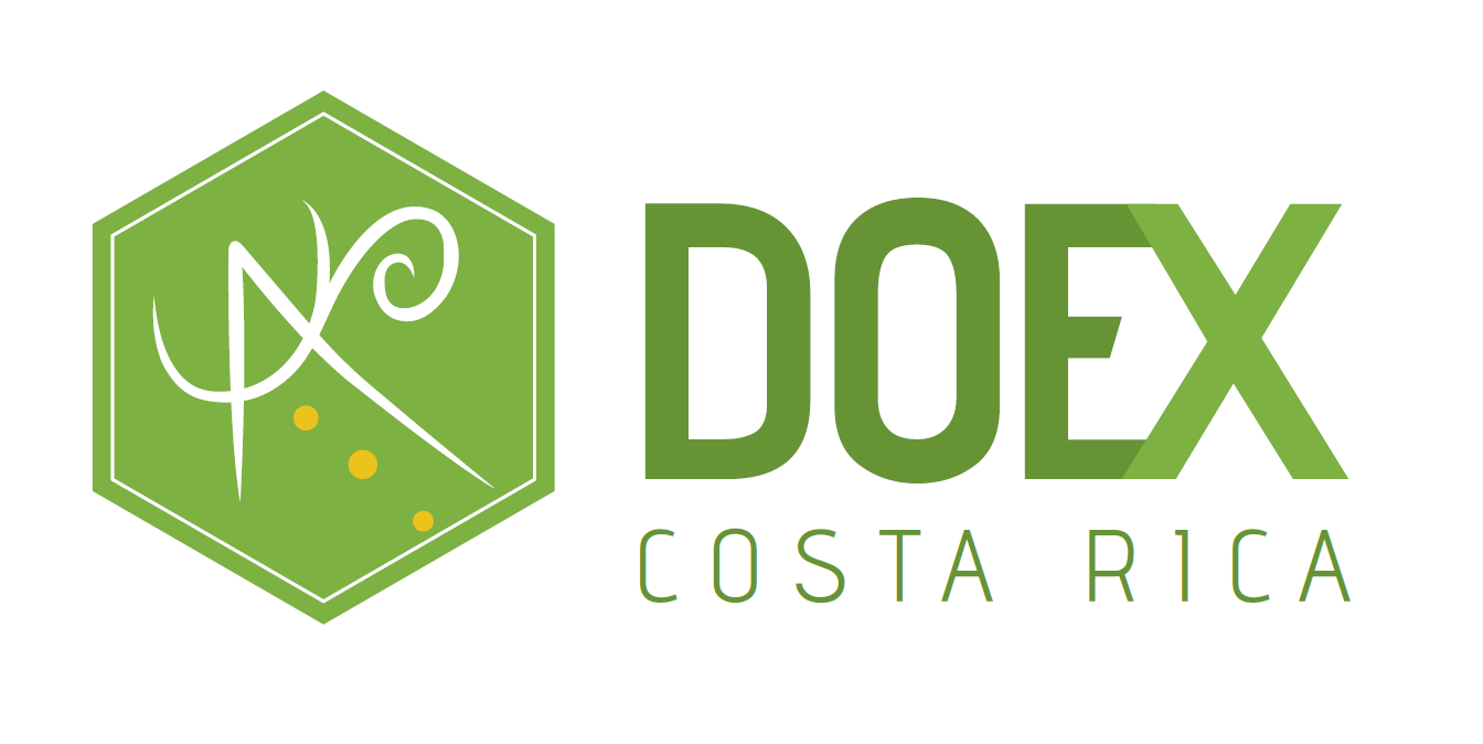 Desarrolladores de Oportunidades Exitosas DOEX SRL