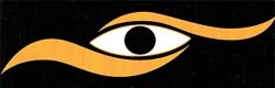 Al Bashawri Opticals