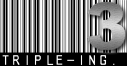 TRIPLE-ING. GmbH