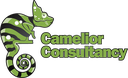 Camelior Consultancy Solutions BV