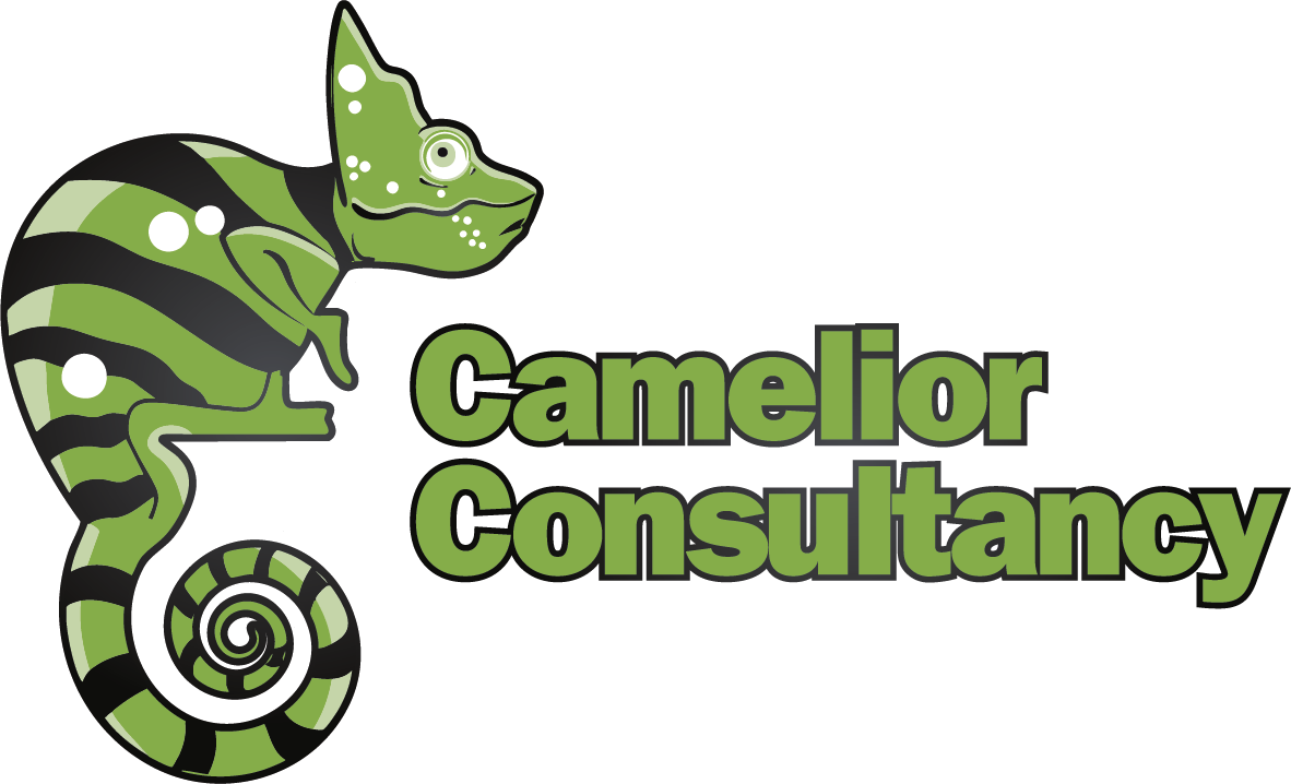 Camelior Consultancy Solutions BV