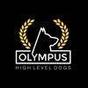 Olympus HD
