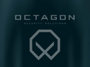 Octagon Security ltd