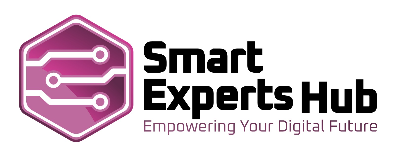 SMART EXPERTS HUB CONSULTING