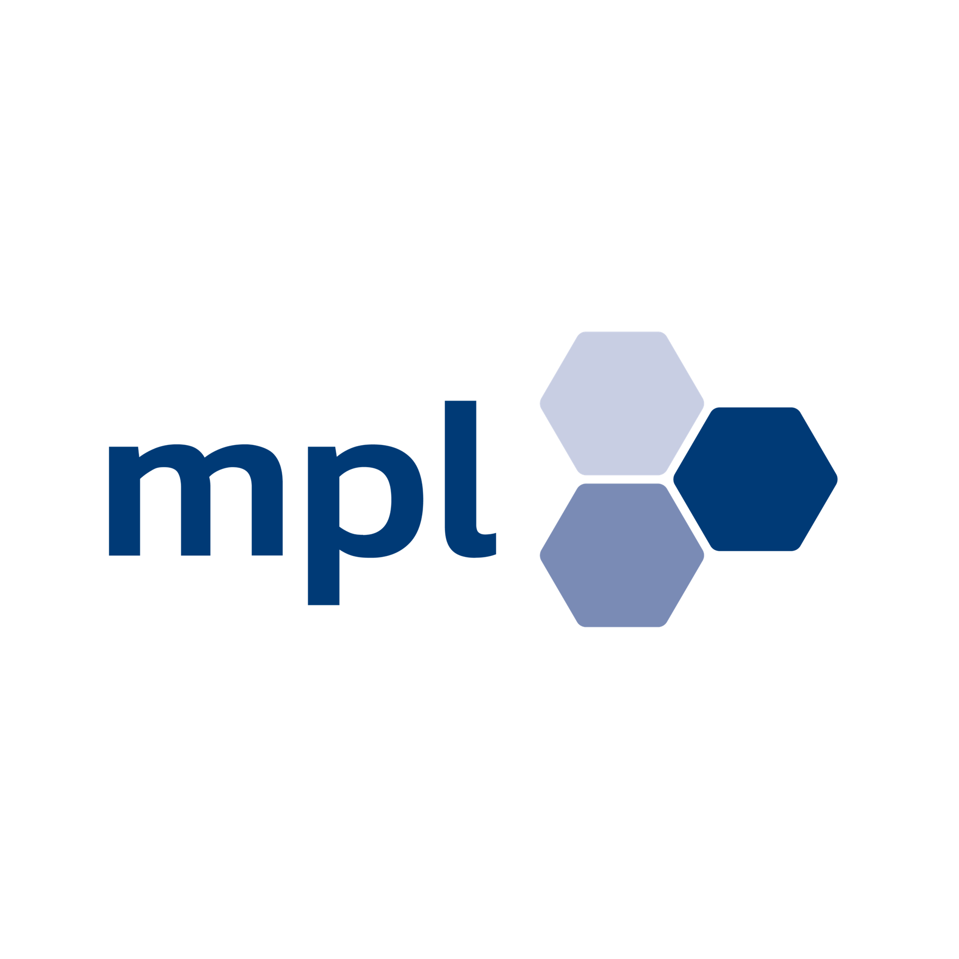mpl Software GmbH