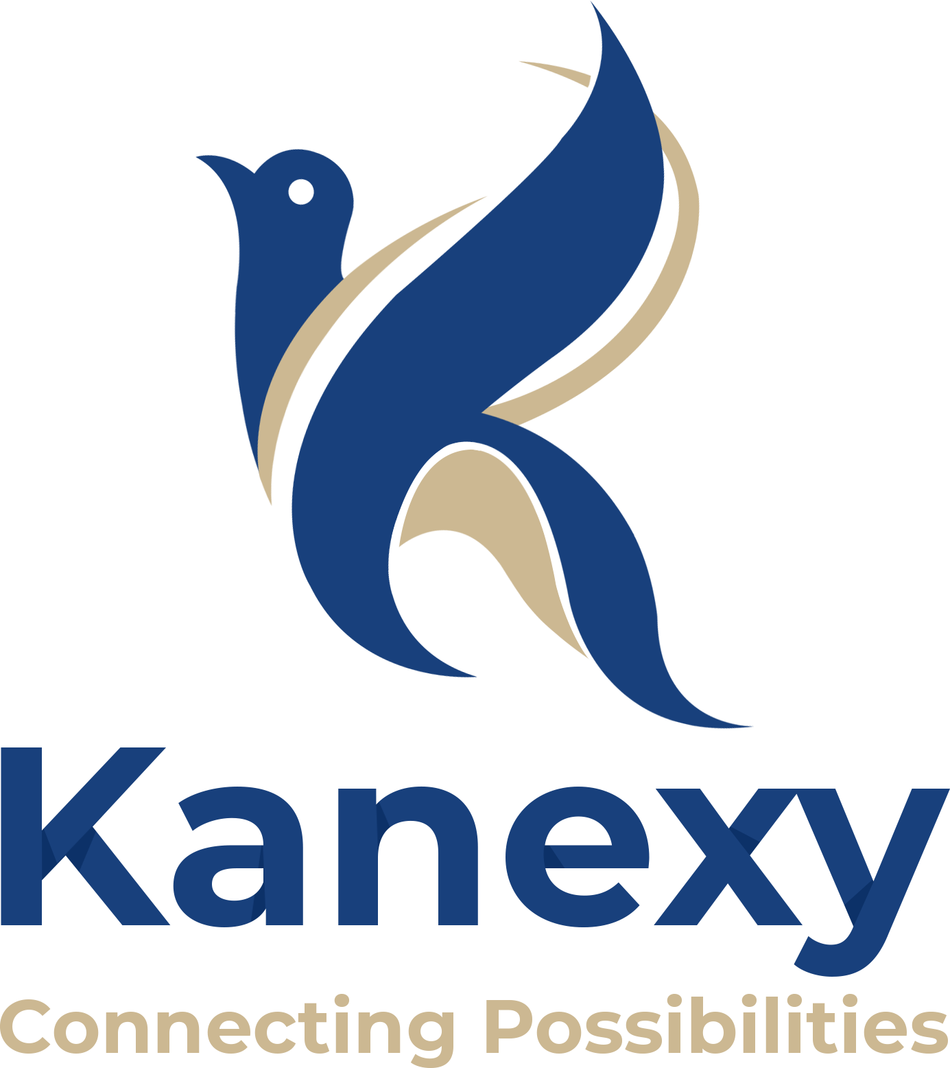 Kanexy Limited