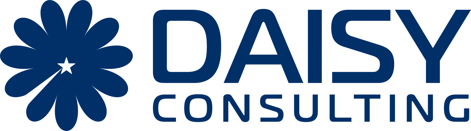 Daisy Consulting