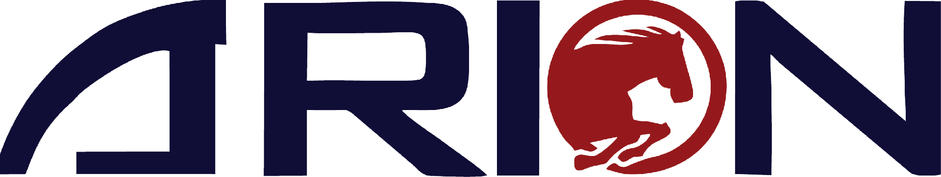 ARION ENERGY SERVICES