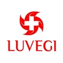 Luvegi ingenieros