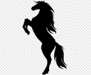 Stallion Trading Ltd