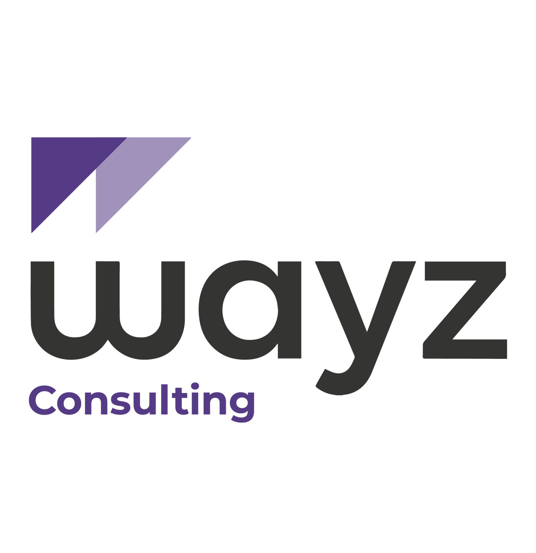 WAYZ CONSULTING F.Z.E