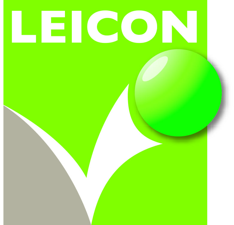Leisure Consulting Company