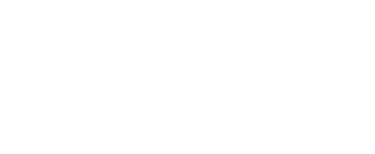 MOON SRL