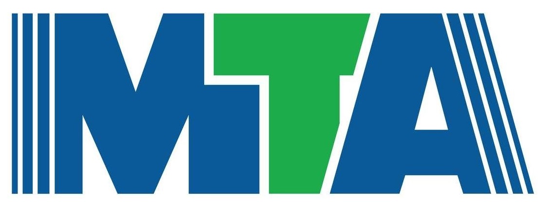 M T A INVESTMENT L.L.C