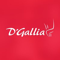 INSTITUTO SUPERIOR TECNOLOGICO PRIVADO ALTA COCINA D'GALLIA S.A.C.